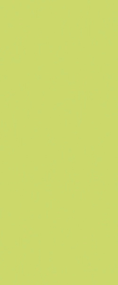 PP 4177 UN Lime - Image 2