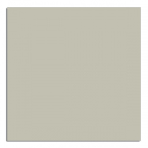 PP 7905 UN Silver