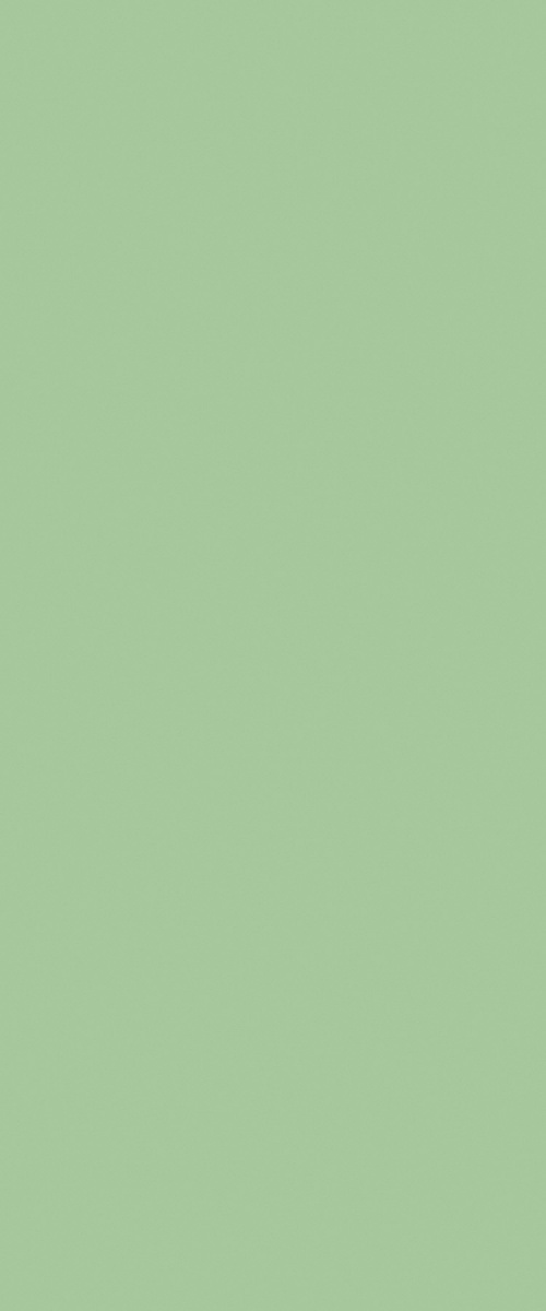 PP 8794 UN Enamel - Image 3
