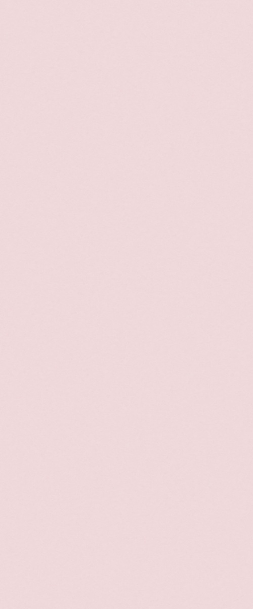 PP 8858 UN Just Rose - Image 3