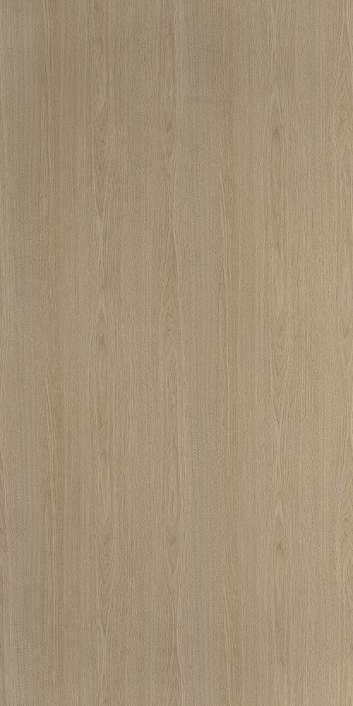 PP 0369 UN Vicuna Graceful Oak - Image 2