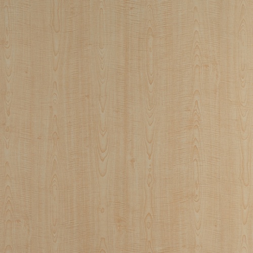 PP 1143 UN French Sycamore