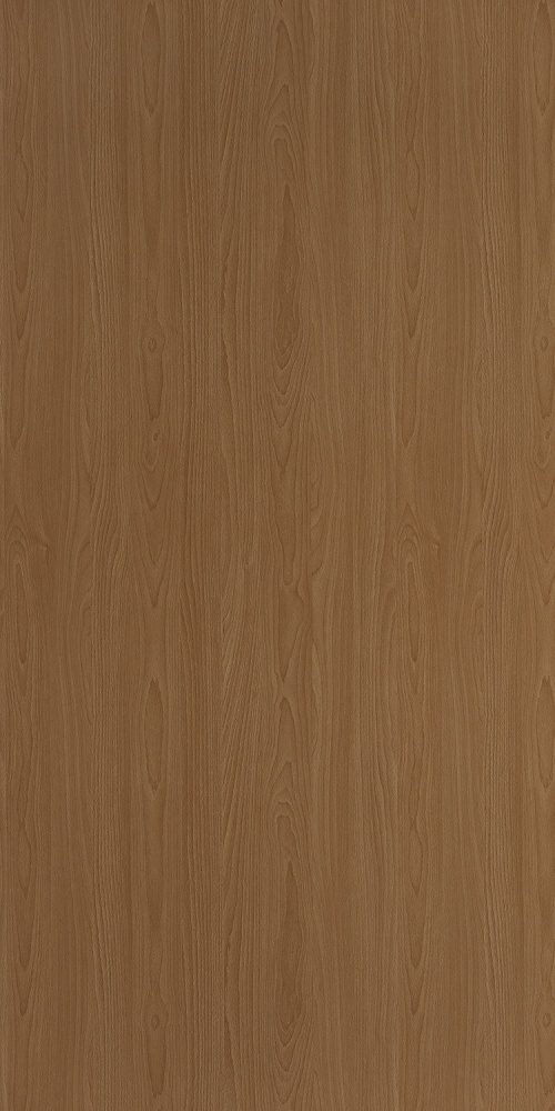 PP 2567 UN Copper Beech New - Image 2
