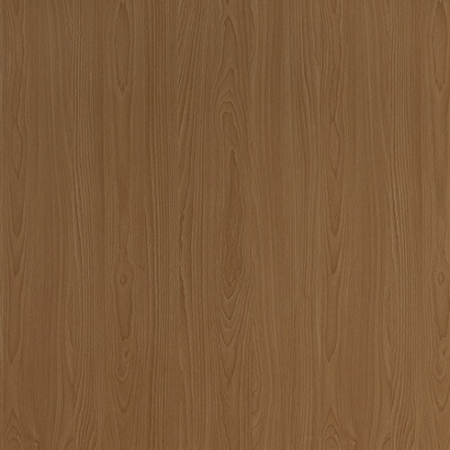 PP 2567 UN Copper Beech New