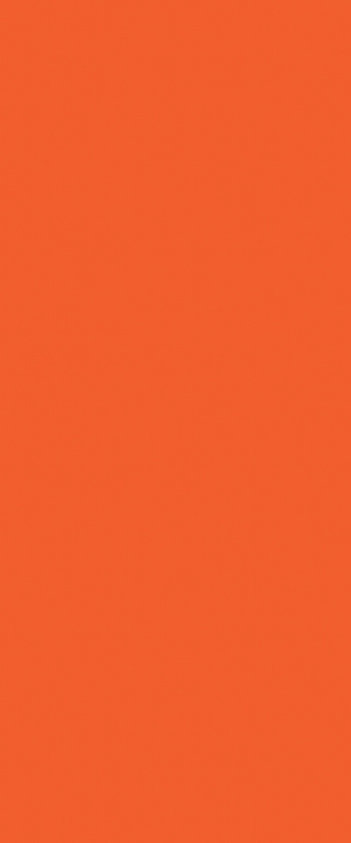 PP 2962 UN Clementine - Image 3