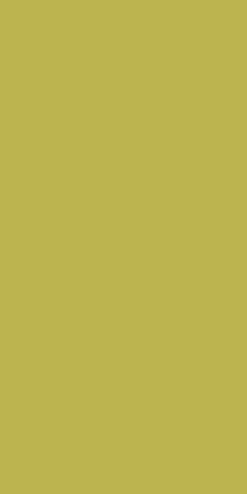 PP 5341 UN Wasabi - Image 3