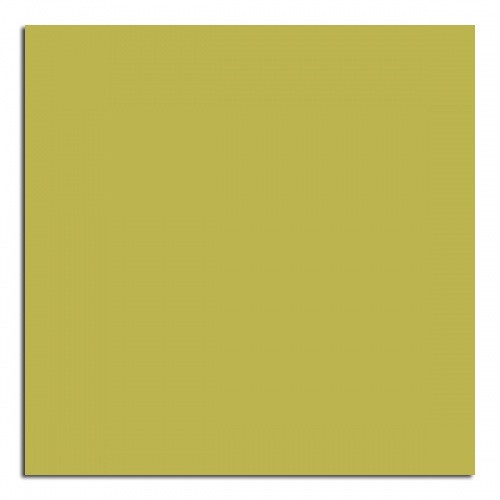 PP 5341 UN Wasabi
