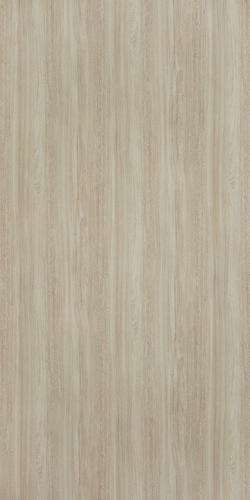 PP 6404 NG Bleached Elm - Image 2
