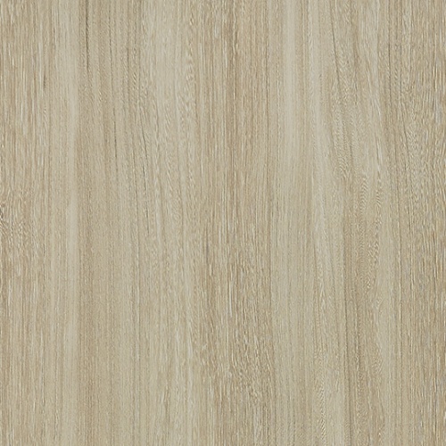 PP 6404 NT Bleached Elm
