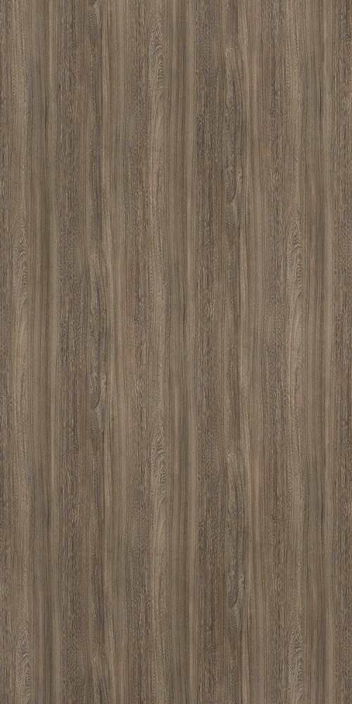 PP 6406 NG Mocha Elm - Image 2