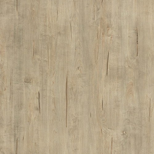 PP 6441 CK Natural Washed Maple