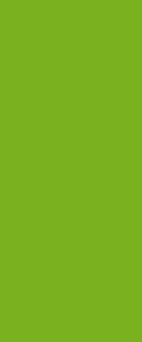 PP 6901 UN Vibrant Green - Image 3