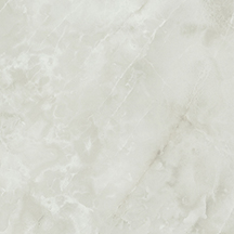 PP 7408 NM Ice Onyx
