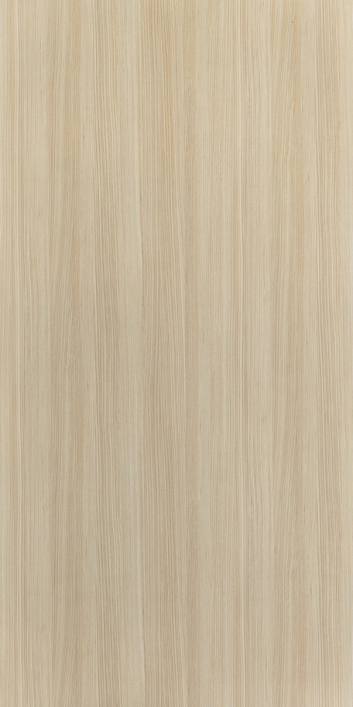 8578 NT Sund Elm - Image 2