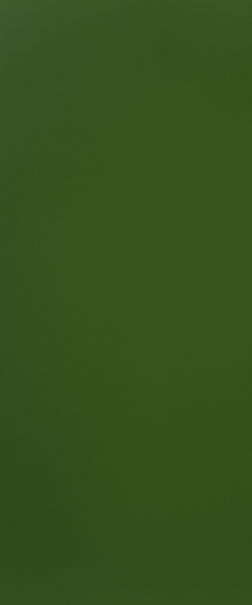 PP 8796 UN Algae - Image 3