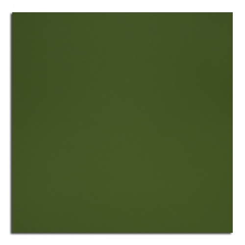 PP 8796 UN Algae