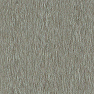 PP 8816 SD Frosted Champagne (Pearlescent)
