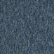 PP 8819 SD Frosted Black