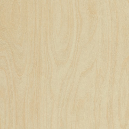 PP 8910 NT Raw Birchply
