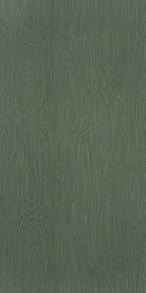 PP 9228 NG Green Birchply - Image 2