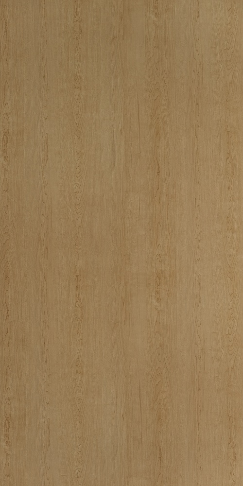 PP 9966 UN Hill Top Maple - Image 2