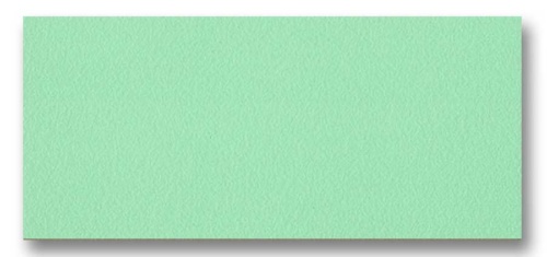TD C206M (Apple Green)