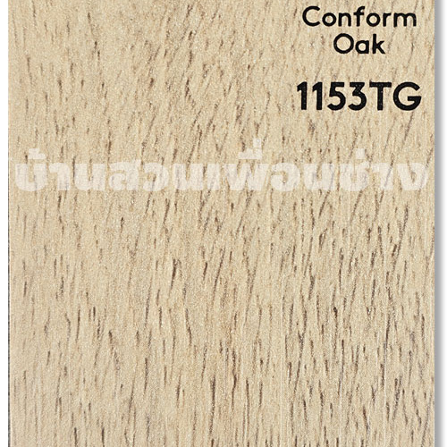 TD 1153 TG ( Conform Oak)