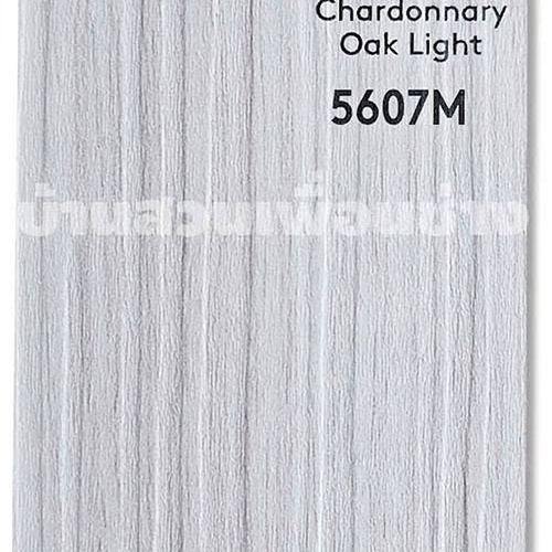 TD 5607 M ( Chardonnary Oak Light )