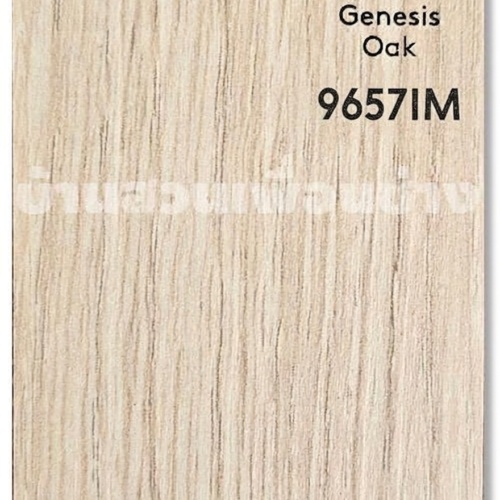 TD 9657 IM ( Genesis Oak)