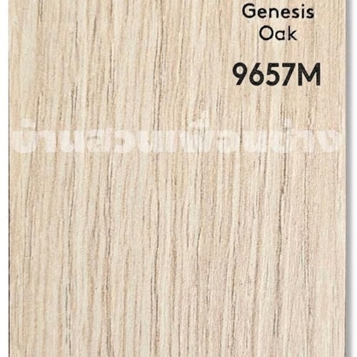 TD 9657 M ( Genesis Oak)
