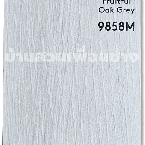 TD 9858 M (Fruitful Oak Grey)